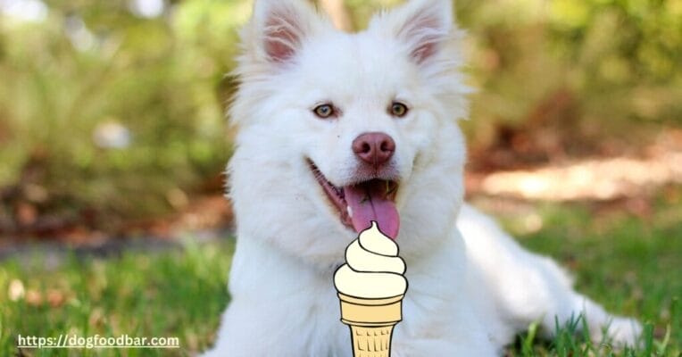 Can My Dog Eat Vanilla Ice cream