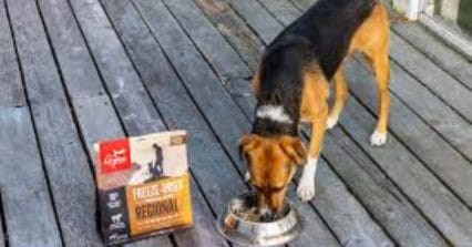 In this comprehensive guide, we'll delve into the factors that influence the ideal serving size of "how much orijen dog food to feed" to keep your pet happy and healthy.