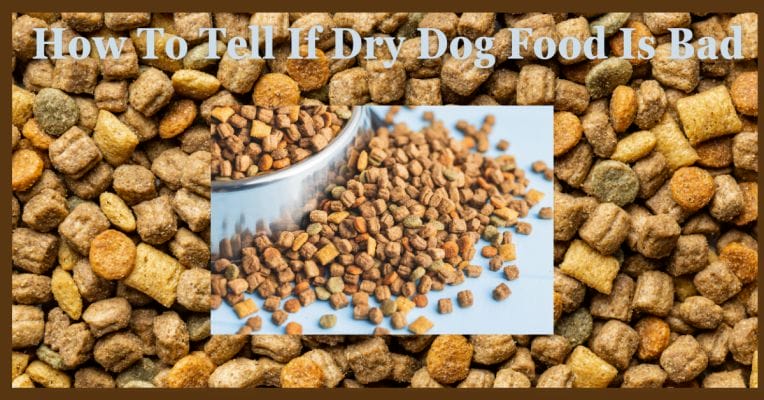 How To Tell If Dry Dog Food Is Bad