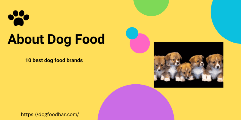 About dog food