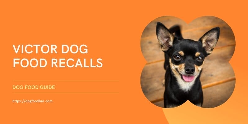 "Navigating the Waves of Victor Dog Food Recalls: A Pet Parent's Guide to Informed Choices"
