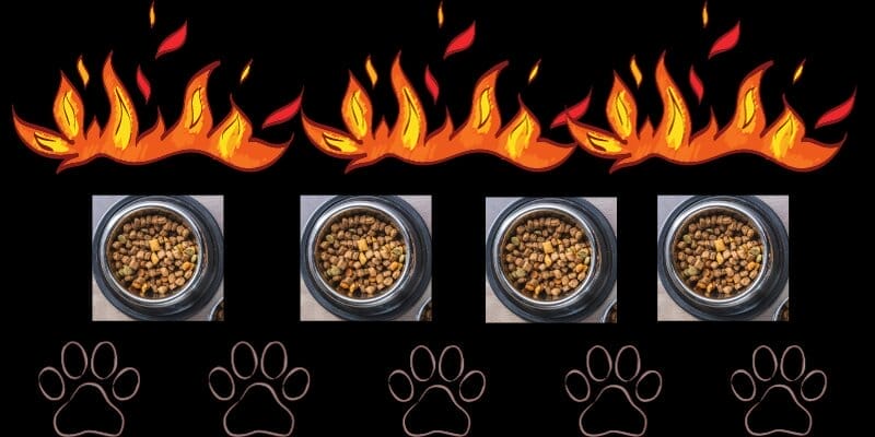 Can Dry Dog Food Go Bad In Heat 