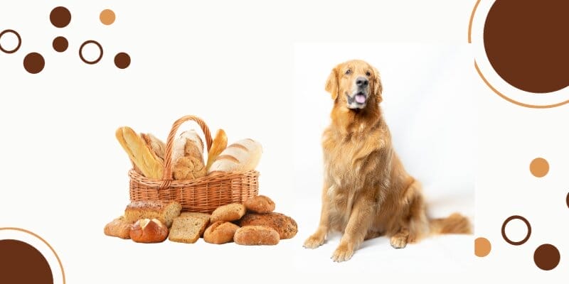 can dogs eat potato bread